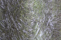 Middleton Hall fibreglass roof work